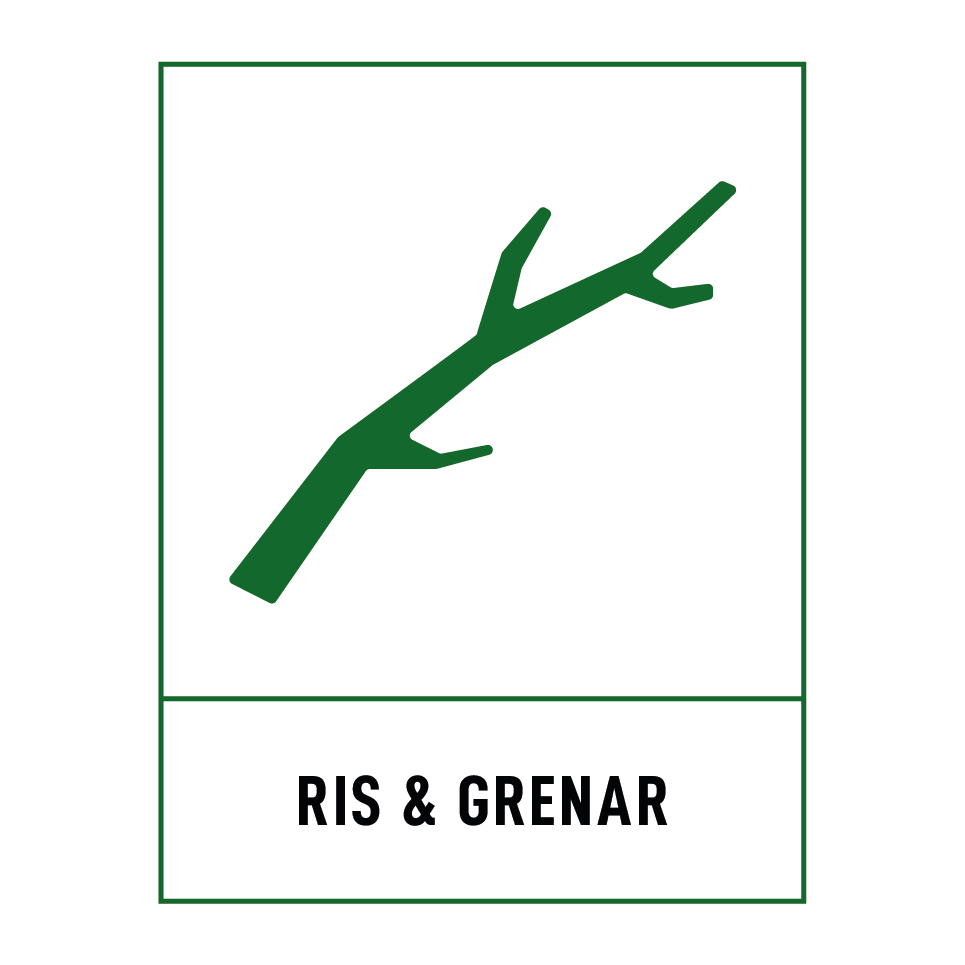 Ris och grenar & Ris och grenar & Ris och grenar & Ris och grenar & Ris och grenar & Ris och grenar