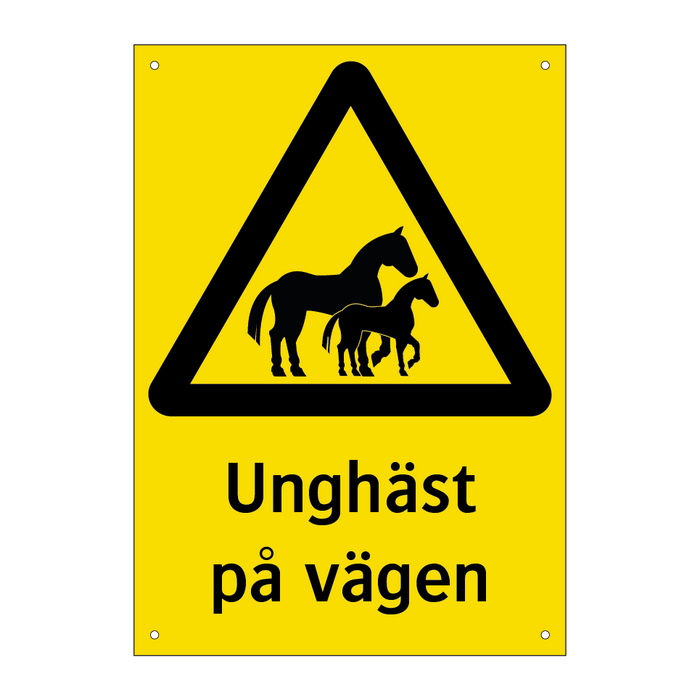 Unghäst på vägen & Unghäst på vägen & Unghäst på vägen & Unghäst på vägen