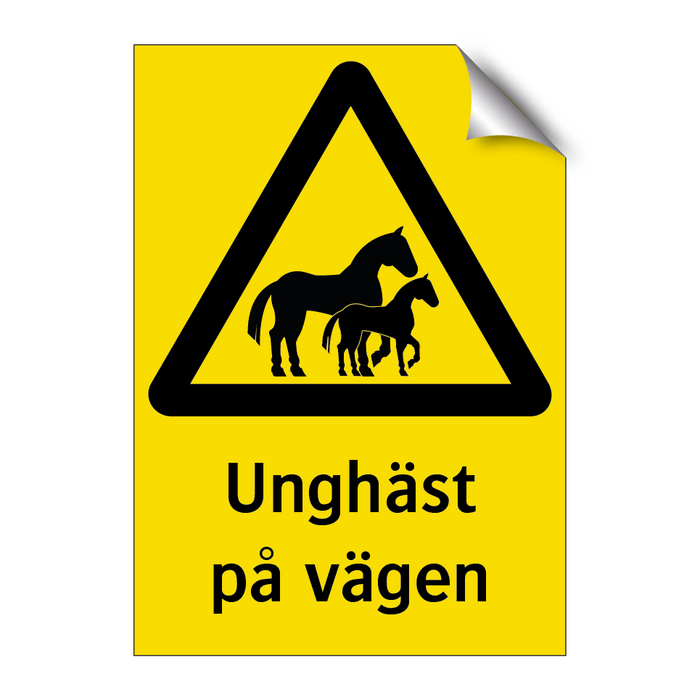 Unghäst På Vägen— Skyltcentralen 